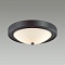 Настенно-потолочный светильник Lumion Nina 5260/2C