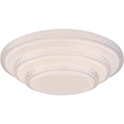 Потолочный светодиодный светильник Globo Magnifique 48005FSH-30  фото, kupilegko.ru