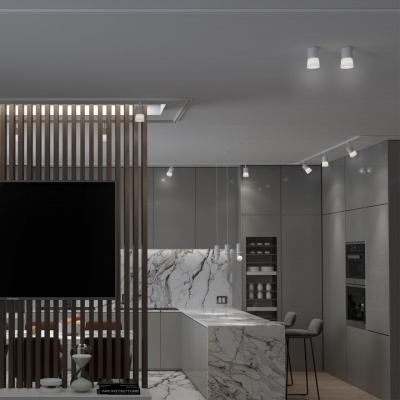 Потолочный светильник Novotech Elina 370901  фото, kupilegko.ru