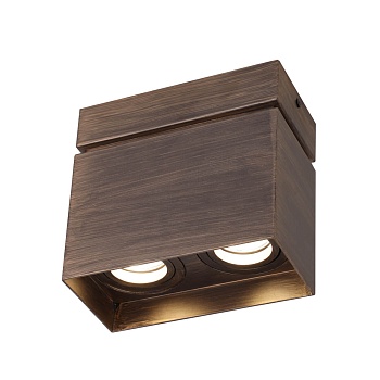 Потолочный светодиодный светильник Favourite Retro 2794-2U  фото, kupilegko.ru