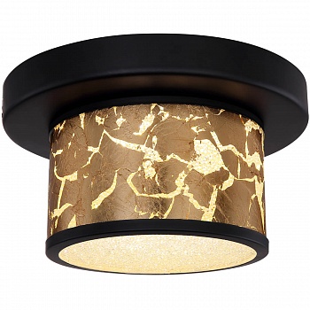 Потолочный светодиодный светильник Globo Potti 49367-12D  фото, kupilegko.ru