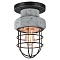 Потолочный светильник Lussole Loft Commack GRLSP-9701
