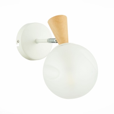 Настенный светильник Evoluce Catania SLE220701-01  фото, kupilegko.ru