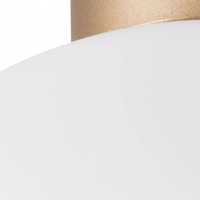 Настенно-потолочный светильник Lightstar Globo 812033  фото, kupilegko.ru