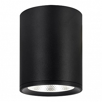 Потолочный светодиодный светильник Escada 20003SMU/02LED SBK  фото, kupilegko.ru