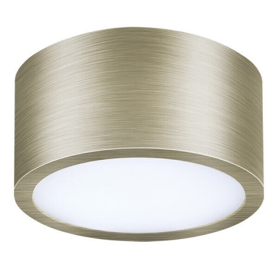 Потолочный светодиодный светильник Lightstar Zolla 213911  фото, kupilegko.ru