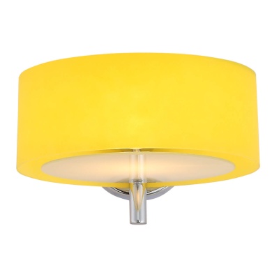 Бра, светильник настенный накладной Evoluce SL483.091.01  фото, kupilegko.ru