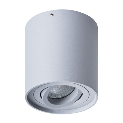 Потолочный светильник Arte Lamp Falcon A5645PL-1GY  фото, kupilegko.ru