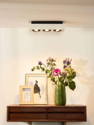 Потолочный светильник Lucide Xirax 09119/16/31  фото, kupilegko.ru