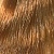 Materia New - Обновленный стойкий кремовый краситель для волос (8408, G8, светлый блондин золотистый, 80 г, Красный/Медный/Оранжевый/Золотистый)  фото, kupilegko.ru