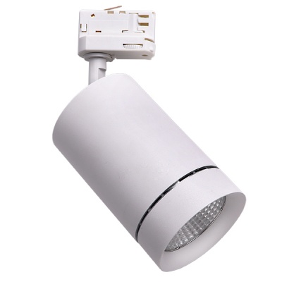 Трековый светильник Lightstar Canno 303562  фото, kupilegko.ru