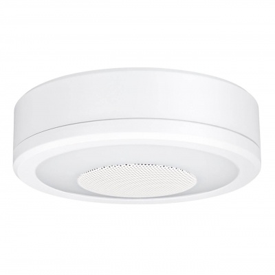 Потолочный светодиодный светильник Paulmann LightSound 92096  фото, kupilegko.ru