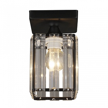 Потолочный светильник Wedo Light Нетта 66110.01.14.01  фото, kupilegko.ru