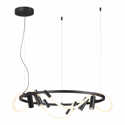 Подвесная светодиодная люстра Odeon Light 4391/55L  фото, kupilegko.ru