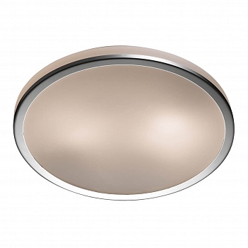 Потолочный светильник Odeon Light Yun 2177/2C  фото, kupilegko.ru