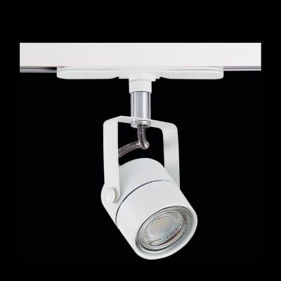 Трековый светильник Citilux Ринг CL525T10N  фото, kupilegko.ru