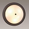 Настенно-потолочный светильник Lumion Nina 5260/3C
