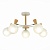 Потолочная люстра Evoluce Catania SLE220702-05  фото, kupilegko.ru