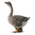 Фигурка Collecta Гусь 2880 GU  фото, kupilegko.ru