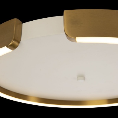 Потолочный светодиодный светильник Loft IT Ring 10026  фото, kupilegko.ru