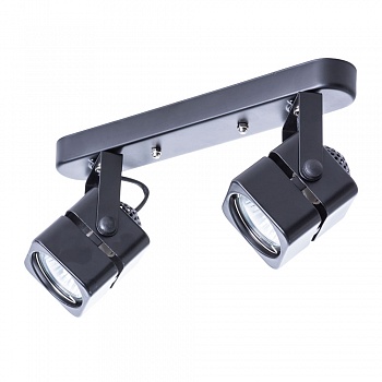 Потолочный светильник Arte Lamp A1315PL-2BK  фото, kupilegko.ru