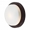 Потолочный светильник Odeon Light Holger 2744/1C