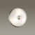 Настенный светильник Odeon Light Pelow 4957/2  фото, kupilegko.ru