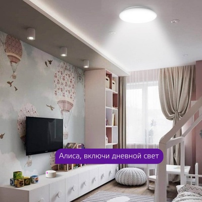 Накладной светодиодный светильник Gauss Smart Home 2050112  фото, kupilegko.ru