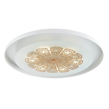 Потолочный светодиодный светильник Favourite Incarnatio 2602-5C  фото, kupilegko.ru