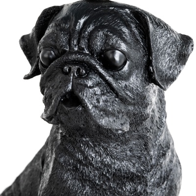 Настольная лампа Arte Lamp Bobby A1512LT-1BK  фото, kupilegko.ru