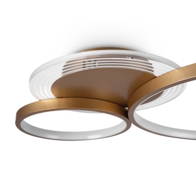 Потолочный светодиодный светильник Freya Crate FR10014CL-L63G  фото, kupilegko.ru