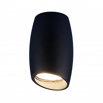 Потолочный светильник Elektrostandard DLN002 MR16 BK черный 4690389144981  фото, kupilegko.ru