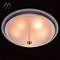 Потолочный светильник MW-Light Ариадна 11 450013505