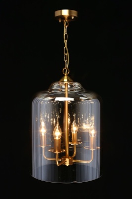 Подвесная люстра Aployt Polin APL.603.06.06  фото, kupilegko.ru