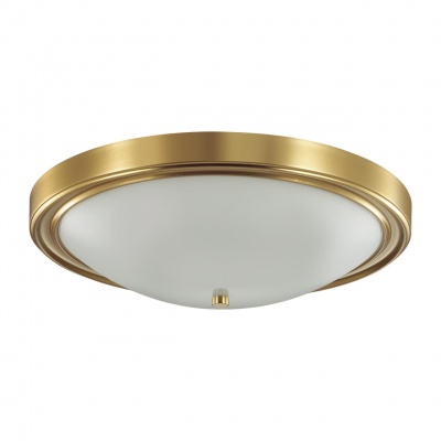 Настенно-потолочный светильник Lumion Nina 5259/4C  фото, kupilegko.ru