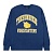 Толстовка THE HUNDREDS Athletics Crewneck HNT23F102009 355969 SP  фото, kupilegko.ru