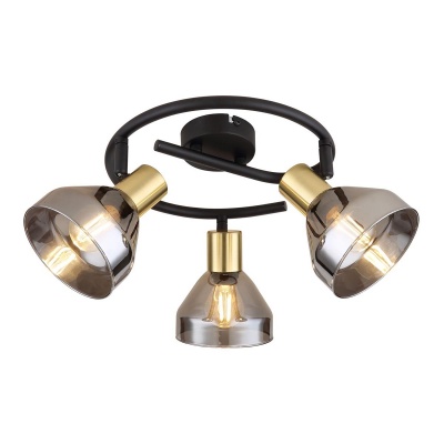 Спот Rivoli Kinge 7036-733 Б0052877  фото, kupilegko.ru