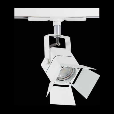 Трековый светильник Citilux Ринг CL526T10SN  фото, kupilegko.ru