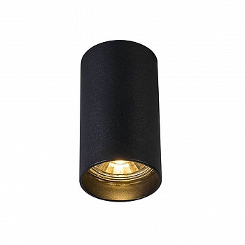 Потолочный светильник Zumaline Tuba sl 1 black 92680  фото, kupilegko.ru
