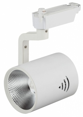 Трековый светильник ЭРА TR1 - 30 WH  фото, kupilegko.ru