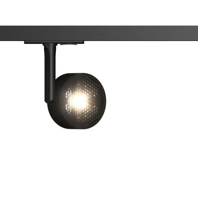 Трековый светильник Maytoni Track Lamps TR024-1-10B3K  фото, kupilegko.ru
