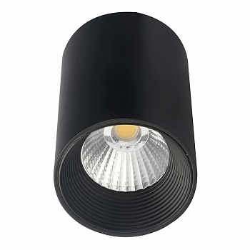 Потолочный светодиодный светильник Escada 20003SMU/01LED SBK  фото, kupilegko.ru