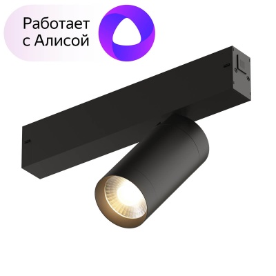Трековый светильник Denkirs Smart DK8010-BK  фото, kupilegko.ru