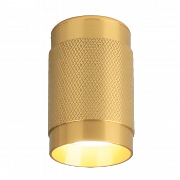 Потолочный светильник Elektrostandard Tony DLN109 GU10 золото 4690389148675  фото, kupilegko.ru