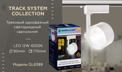Трековый светодиодный светильник Ambrella light Track System GL6389  фото, kupilegko.ru