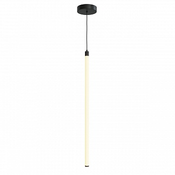 Подвесной светодиодный светильник Maytoni Technical Ray P021PL-L20B3K  фото, kupilegko.ru