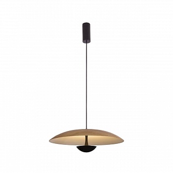 Подвесной светильник Lumien Hall Arta 8007/1PL-WD  фото, kupilegko.ru