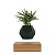 Lyfe Oak/Black Кашпо левитирующее Flyte  фото, kupilegko.ru