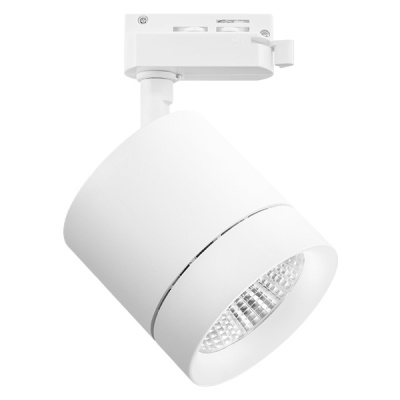 Трековый светильник Lightstar Canno 301262  фото, kupilegko.ru