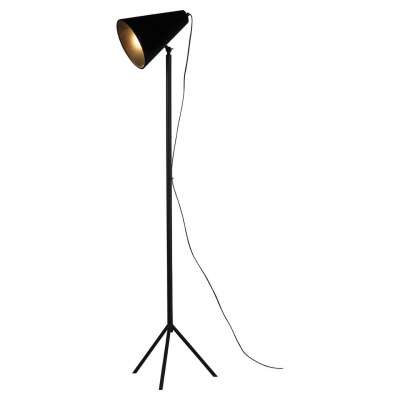 Торшер Lussole Lgo Cozy GRLSP-0563  фото, kupilegko.ru